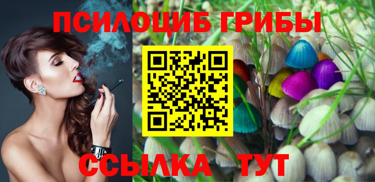 Ноябрьск  Галлюциногенные грибы GOLDEN TEACHER  Вход с VPN 